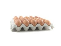 Huevos Frescos de Gallina. Huevo gallego, gallinas alimentadas con maíz