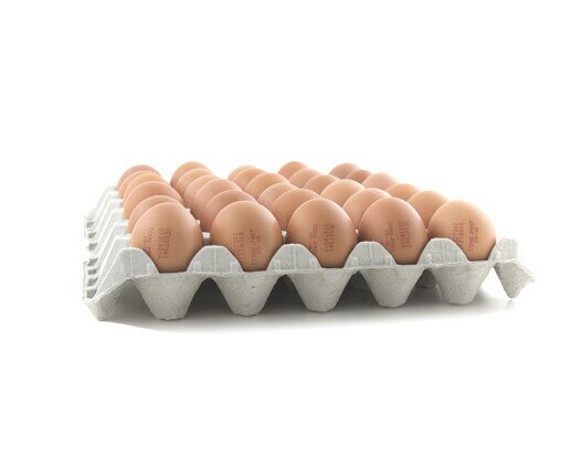 Huevos a granel. Huevo gallego, gallinas alimentadas con maíz