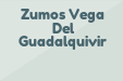Zumos Vega Del Guadalquivir