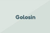 Golosin
