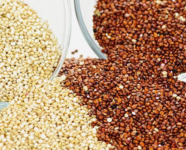 Quinoa.Productos de primera calidad