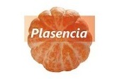 Frutas Plasencia