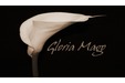 Gloria Mago Bisutería - Accesorios, Moda y Novedades