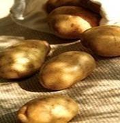 Patatas. Patatas de calidad
