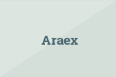 Araex