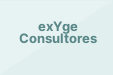 exYge Consultores