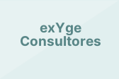 exYge Consultores