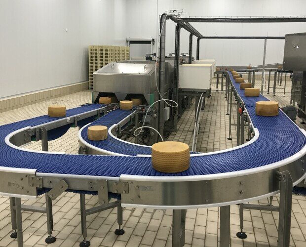 Transportador curvilíneo banda. Transportador curvilíneo para el transporte de quesos al túnel de secado.