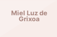 Miel Luz de Grixoa