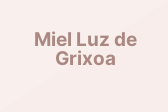 Miel Luz de Grixoa