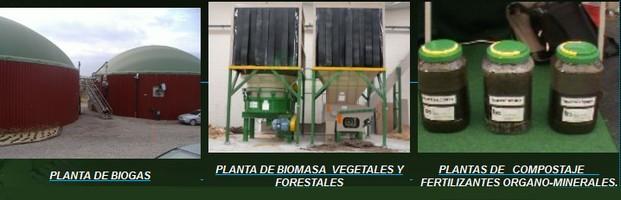 Energía alternativa. Plantas de Biogas, plantas de Biomasa y más