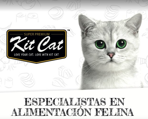 Kit Cat. Alimentación premium y de alta calidad para gatos.