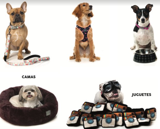FuzzYard. Productos y accesorios para perros y gatos: camas, juguetes, arneses, collares...