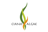 Cianoalgae