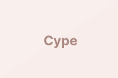 Cype