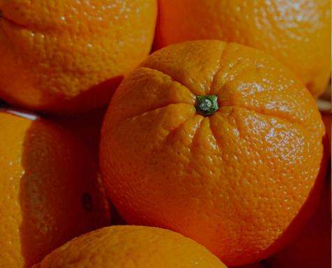 Naranjas. Naranjas recolectadas y recogidas en su punto óptimo de maduración