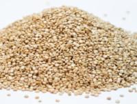Quinoa. Certificada de agricultura bio. 25kg, 45kg y TM