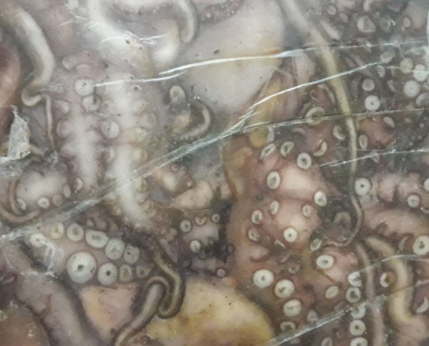 Cefalópodos Congelados.Pulpo congelado Origen: África En Bloque