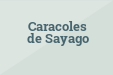 Caracoles de Sayago