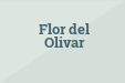 Flor del Olivar