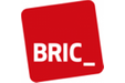 Bric Business & Consulting