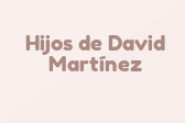 Hijos de David Martínez