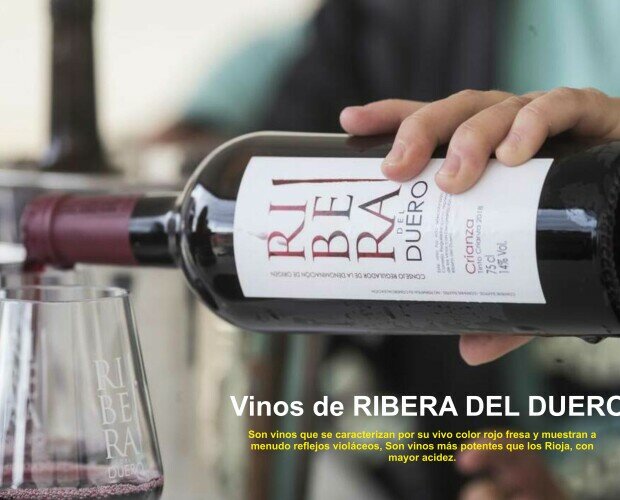 Vinos de Ribera del Duero. Disponemos de los vinos de ribera del duero que mejor han funcionado en Alicante