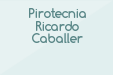 Pirotecnia Ricardo Caballer