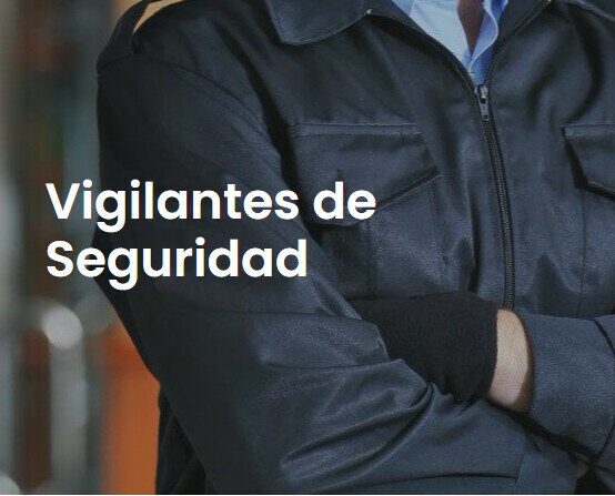 Videovigilancia.Vigilantes de Seguridad en España