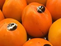 Naranjas. Gran variedad de frutas 