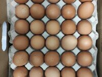 Huevos Frescos Ecológicos. Huevos ecológicos de granjas TECO
