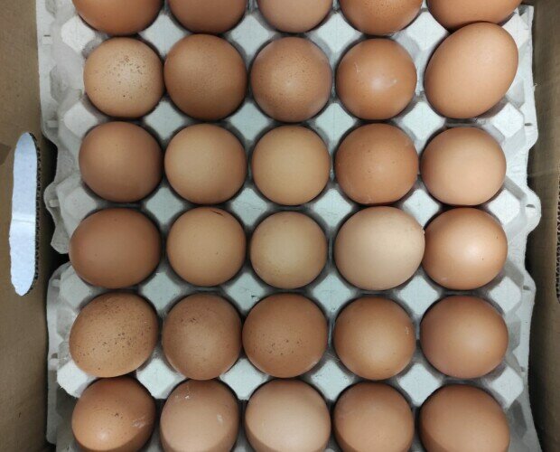 Huevos ECO. Huevos ecológicos de granjas TECO