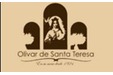 Olivar de Santa Teresa