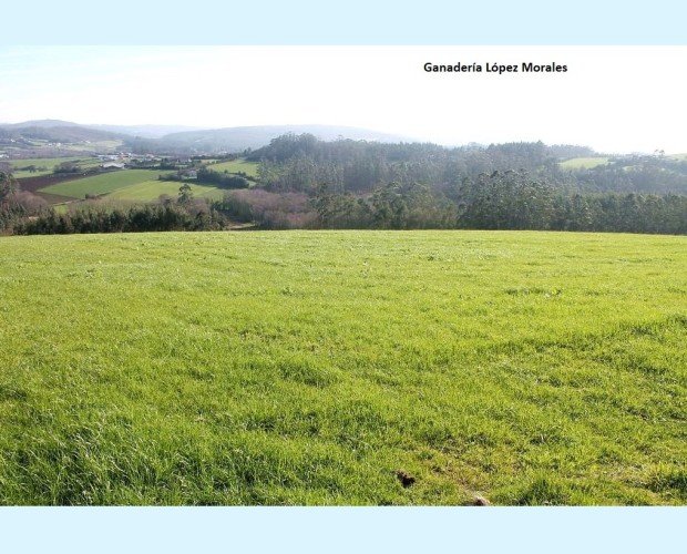 Nuestras tierras. Contamos con grandes extensiones de tierra en Galicia