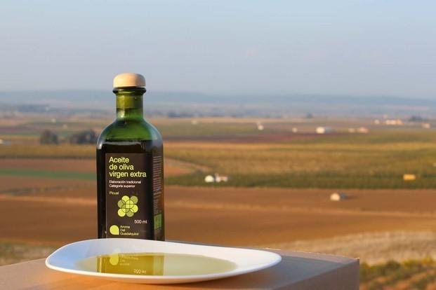 Aceite de oliva. Aceite de oliva virgen extra de la variedad picual.