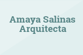 Amaya Salinas Arquitecta
