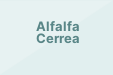 Alfalfa Cerrea