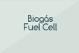 Biogás Fuel Cell