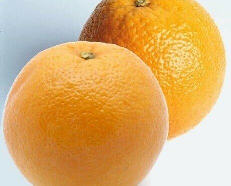 Naranjas. Ofrecemos gran variedad de frutas