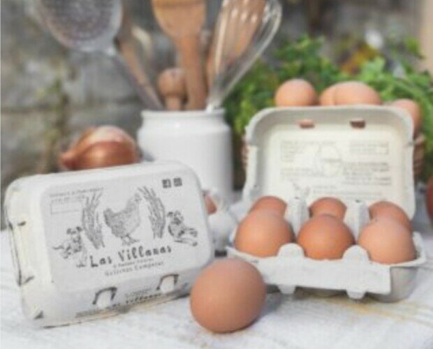 Huevos de gallinas. Ofrecemos huevos de calidad a los mejores precios