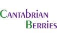 Cantabrian Berries