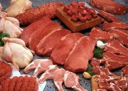 Mayorista de carnes. Carne de pollo, pavo, cerdo, ternera y buey