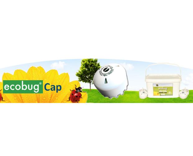 Ecobug Cap. Reduce el consumo de agua en un 98%