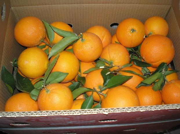 Caja Naranja Mesa. Caja de 10kg con naranjas de mesa. Con tallo.