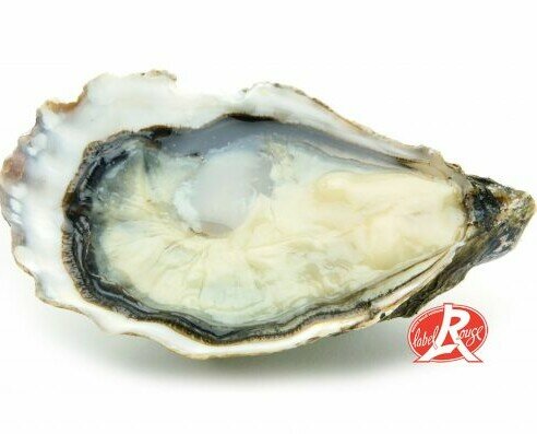 Pousse en Claire Aimé. Producto excepcional y orgullo de los mejores y más expertos criadores de ostras