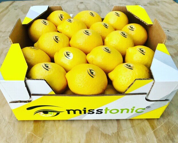Limones. Exportación de limones de Murcia todo el año.