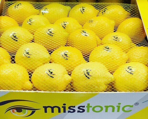 Limones 6kg. Exportación de limones de Murcia todo el año. Caja de 6kg.