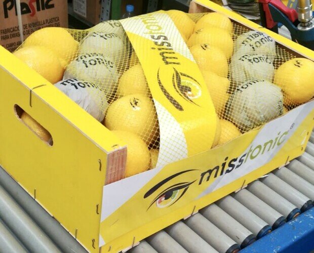 Limones 10kg. Caja de 10kg de limones. Exportación de limones de Murcia todo el año.