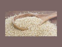 Quinoa Ecológica. Destaca por su alto valor de proteínas y su rico contenido de grasas