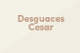 Desguaces Cesar
